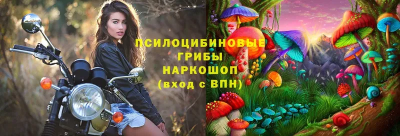 Псилоцибиновые грибы MAGIC MUSHROOMS  Бородино 