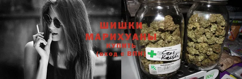 купить наркотик  Бородино  kraken tor  Шишки марихуана Bruce Banner 